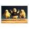 Stupell Industries Funny Exercise Workout Chicks Wall Plaque Art